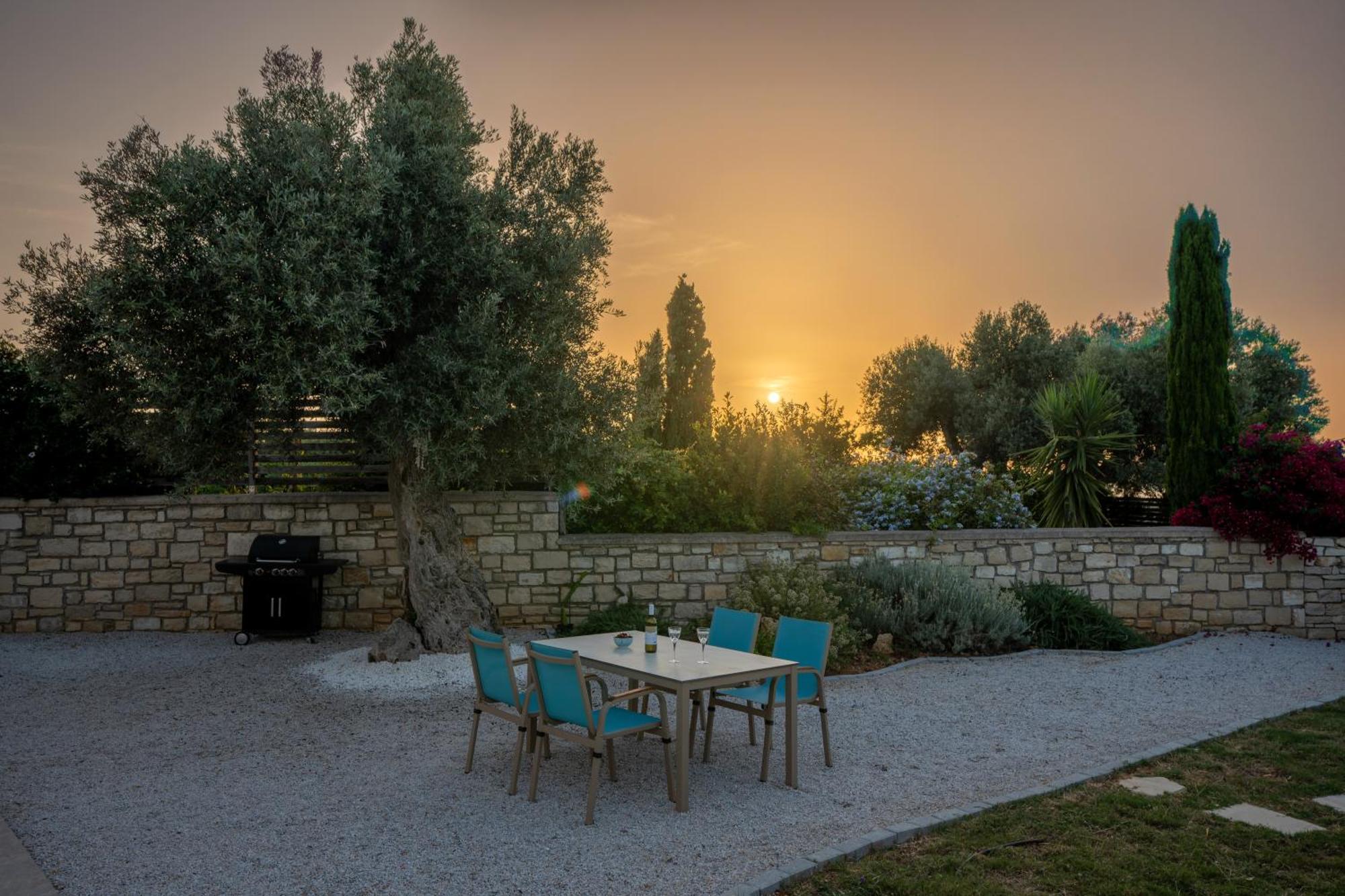 Villa Vasiliki Private Pool Erfoi Exterior photo